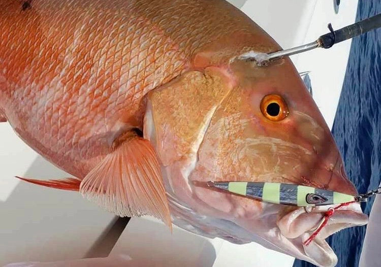 Flat Back Silver Glow Slow Pitch Jig