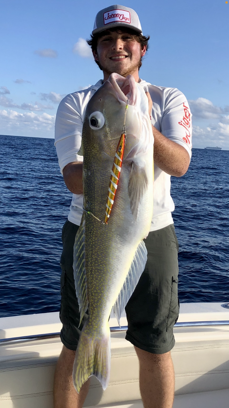 Torpedo Gold/Red & Glow