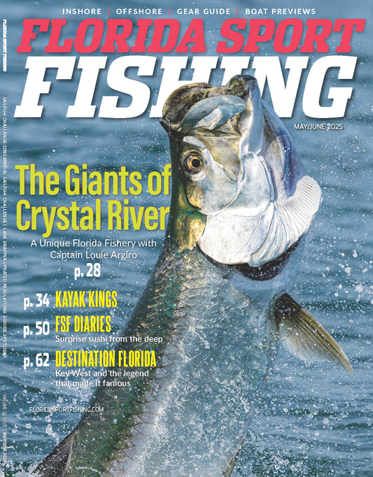 Volume 25 Issue 3 May / June 2025