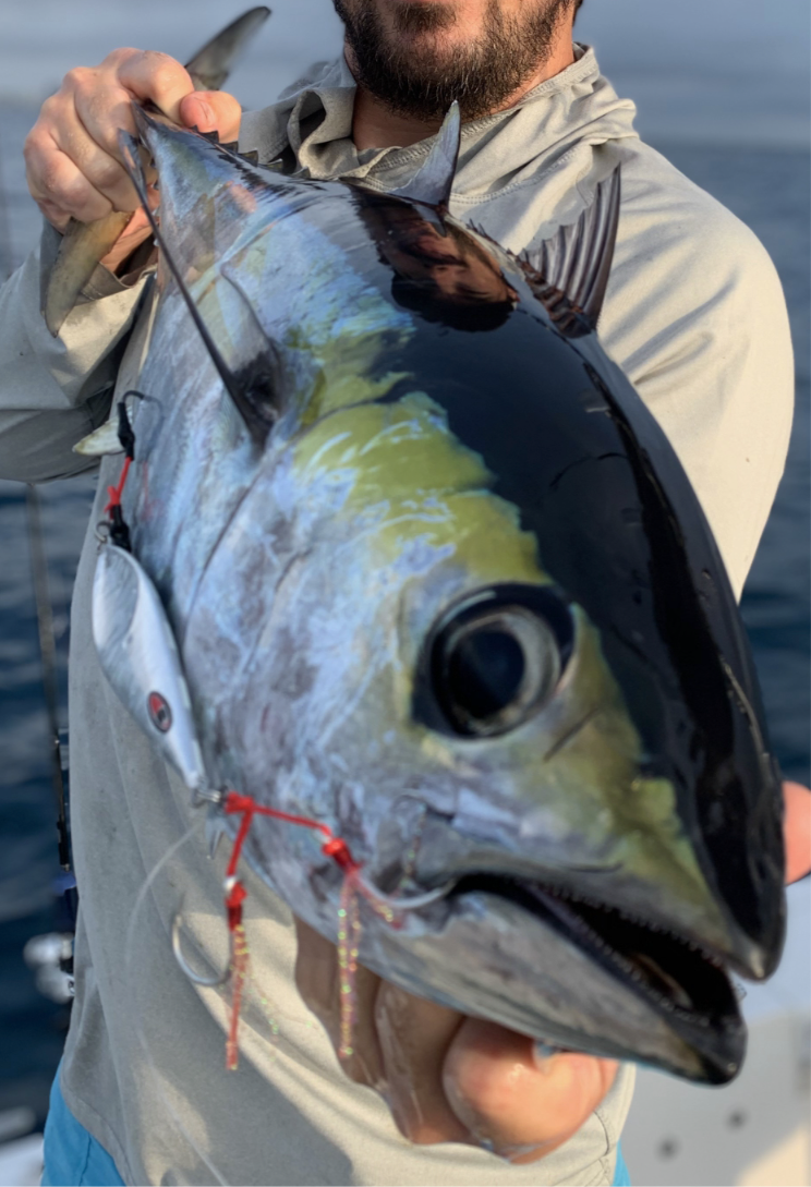 Super Sonic Silver/Glow Slow Pitch Jig