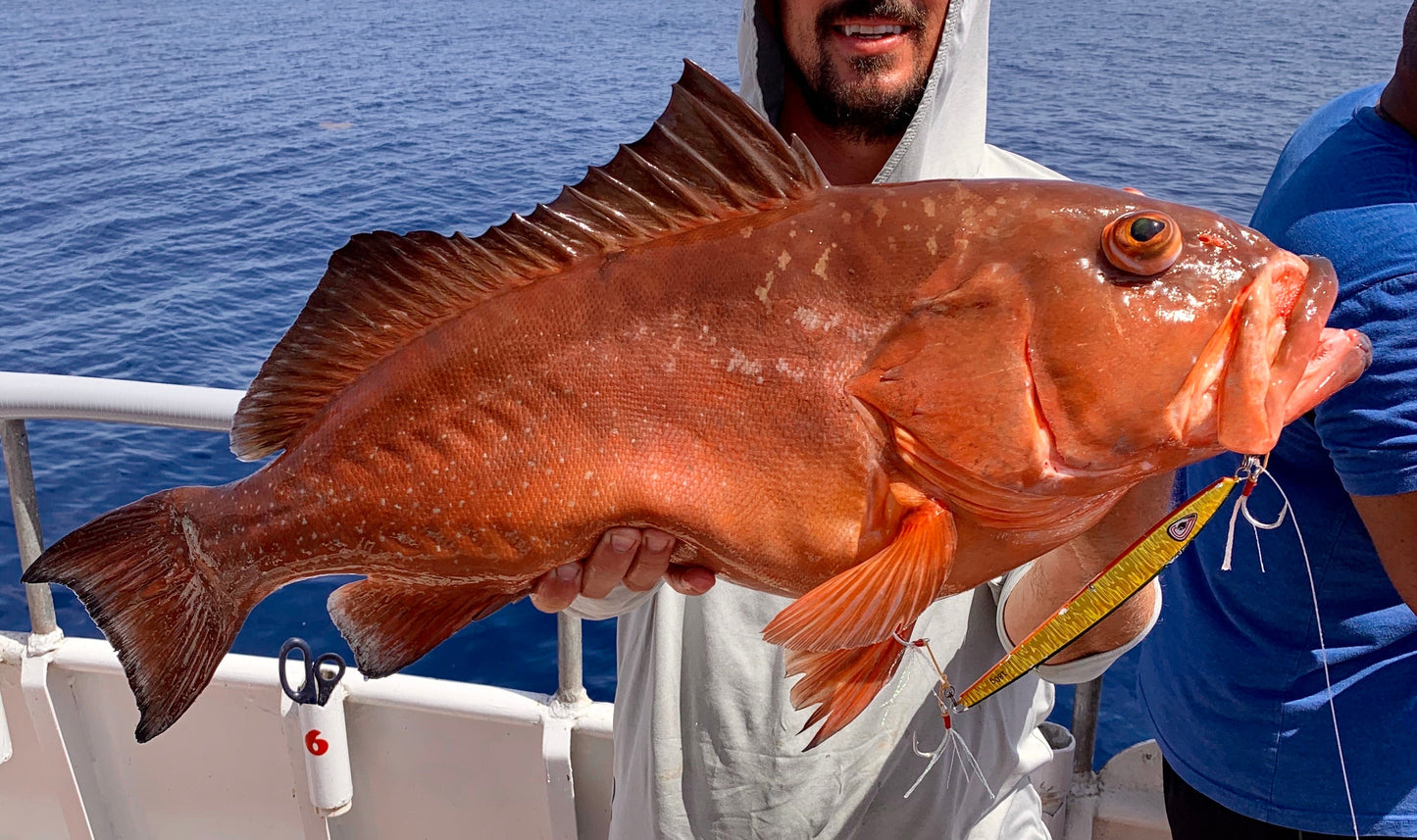 Flatty Pumpkin Glow Slow Pitch Jig
